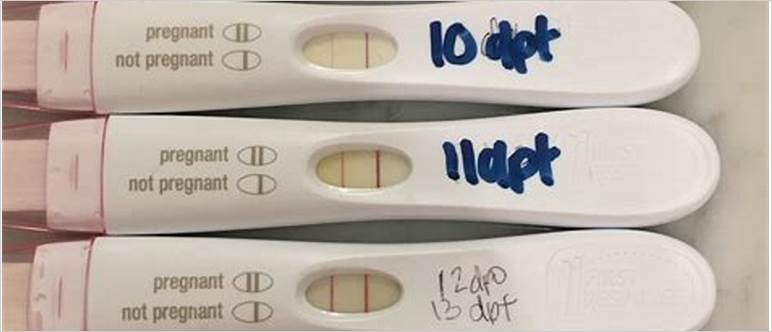 7dpo negative pregnancy test
